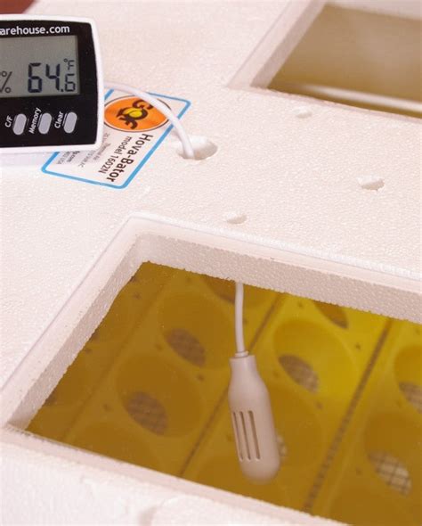 Incubator Thermometers
