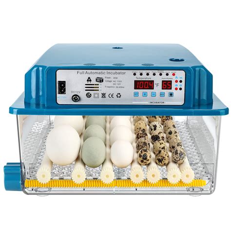 Incubators For Turkey Eggs