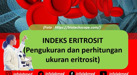 indeks eritrosit