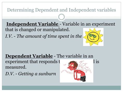 independent variable and dependent variable in social sciences