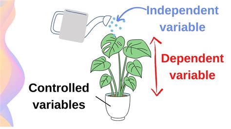 independent variable vs dependent variable vs control examples