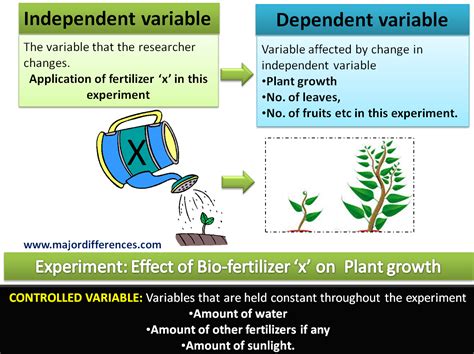 independent variable vs dependent variable vs control group