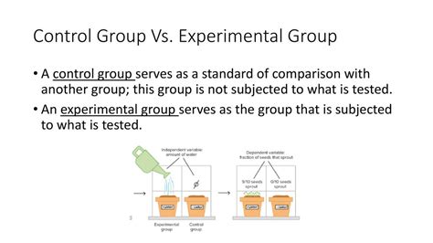 independent variable vs dependent variable vs control group vs experimental group