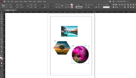 Indesign How To Insert Image