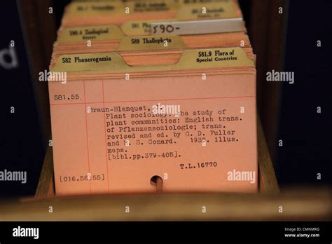 Index Card In Library