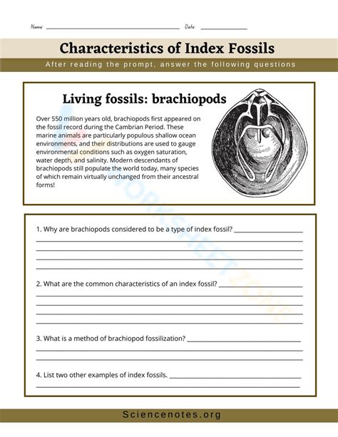 Index Fossils Worksheet Pdf