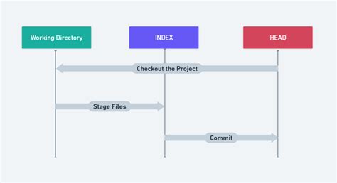 Index Vs Working Tree Git