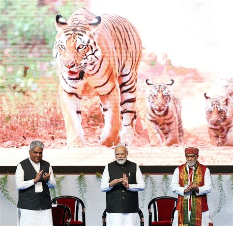 50 Years Of Project Tiger India Has 3,167 Tigers, Up By 6.74 Since