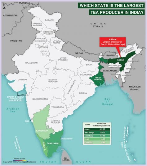 India Tea Growing State