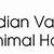 indian valley animal hospital