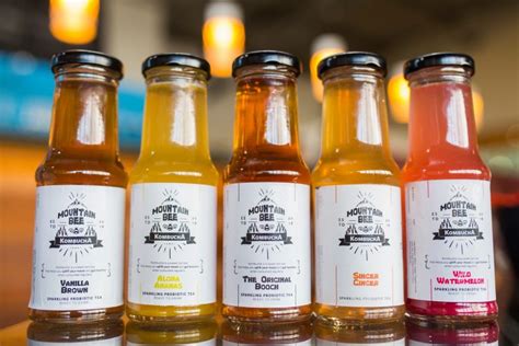 indian kombucha brands