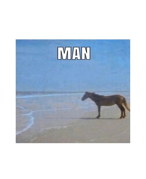 indian man on horse meme