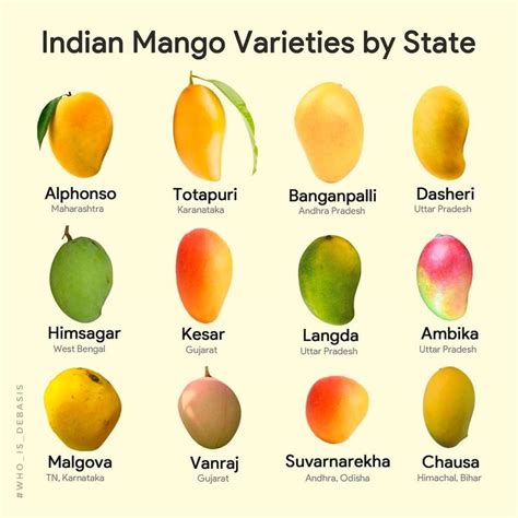 indian mango varieties by state