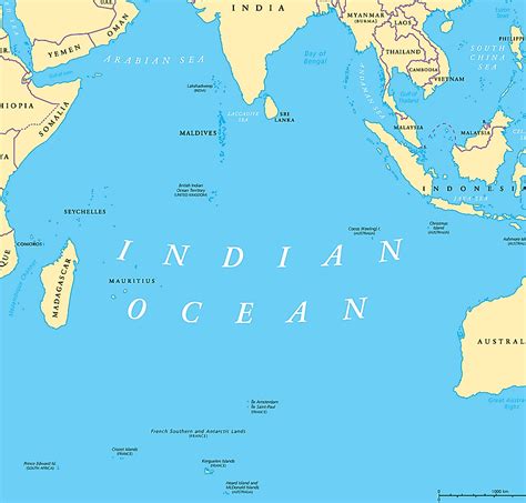 indian ocean fan following