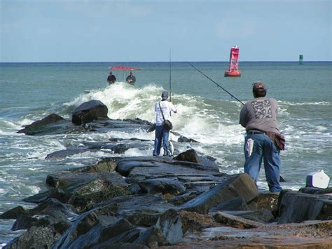 indian river inlet surf fishing