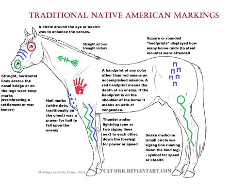 indian war horse paint markings