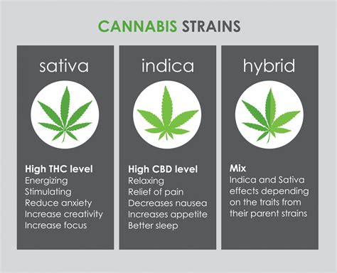 Indica Sativa Hybrid Chart: What You Need To Know