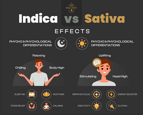 Indica Cart Side Effects