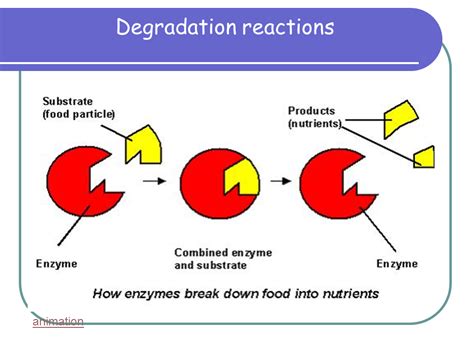 Indicator Enzymes Examples