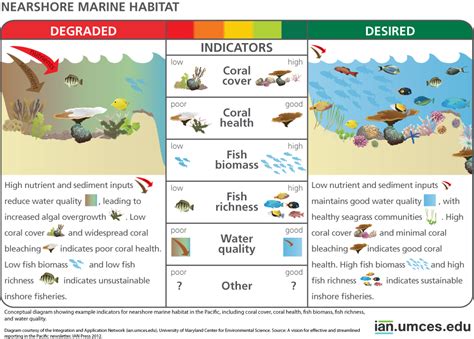 Indicator Species Examples Fish