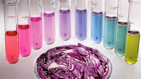 Indicators Experiment