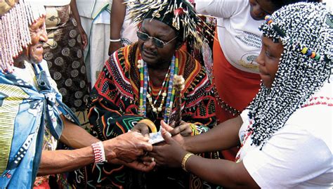 indigenous healers in south africa