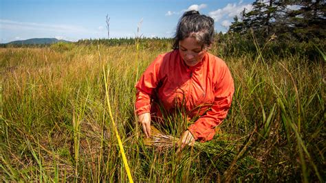 Indigenous Peoples Stewardship