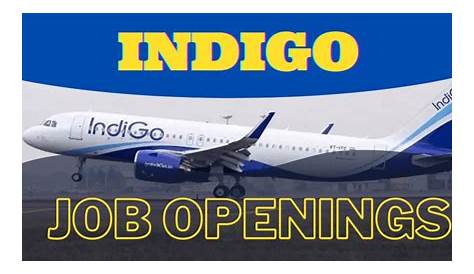 Indigo Airlines Career Page Airline
