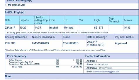 Indigo Airlines Flight Ticket Print Fake United And Travelling