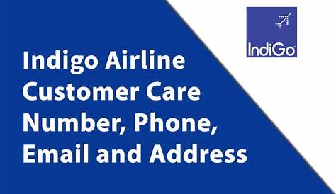Indigo Cargo Goa Contact Number Why IndiGo And GoAir Had To Ground Their A320neo Flights