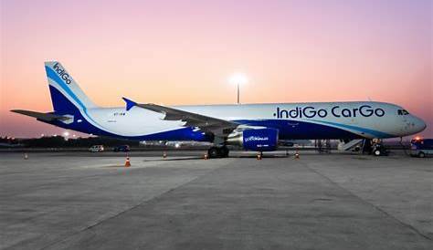 Indigo Cargo Status IndiGo Expects To Reach PreCrisis Levels Of Traffic In A