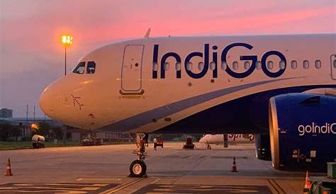 Indigo Flight Status Live Today Delhi To Mumbai Move s On 10 Sectors Igi S Terminal 2 Starting