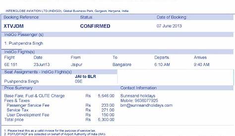 Indigo Flight Ticket Print Copy , Boarding Pass, Mr.