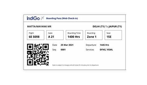 Indigo Flight Ticket Printout With Pnr Number Pdf United Airlines And Travelling