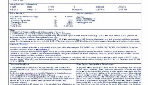 Indigo Flight Ticket Sample Pdf Of United Airlines And Travelling