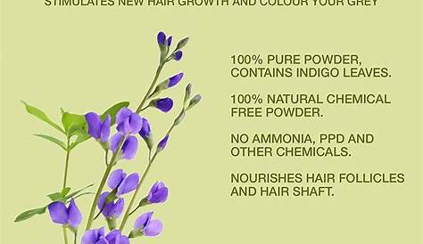 Indigo Plant Uses For Hair इंडिगो पाउडर बालों की समस्या का हल Powder