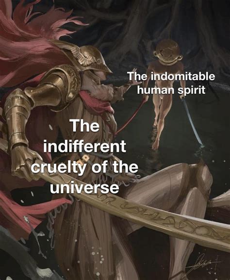 indomitable human spirit meme