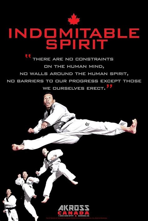 indomitable spirit meaning in taekwondo
