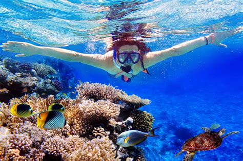 Bunaken Snorkeling Trip Manado Safari Tours & Travel