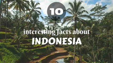 indonesia facts and information