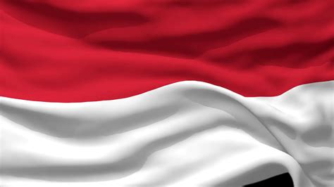 indonesian flag 3d
