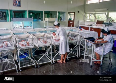 Indonesian Maternity Hospitals