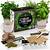 indoor herb garden kit