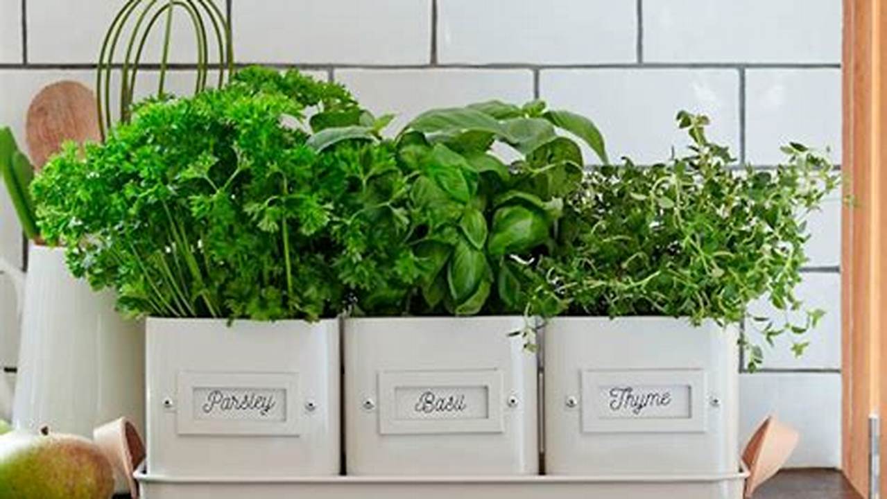 Unleash Your Herb Garden's Potential: Discover the Secrets of Indoor Herb Garden Pots