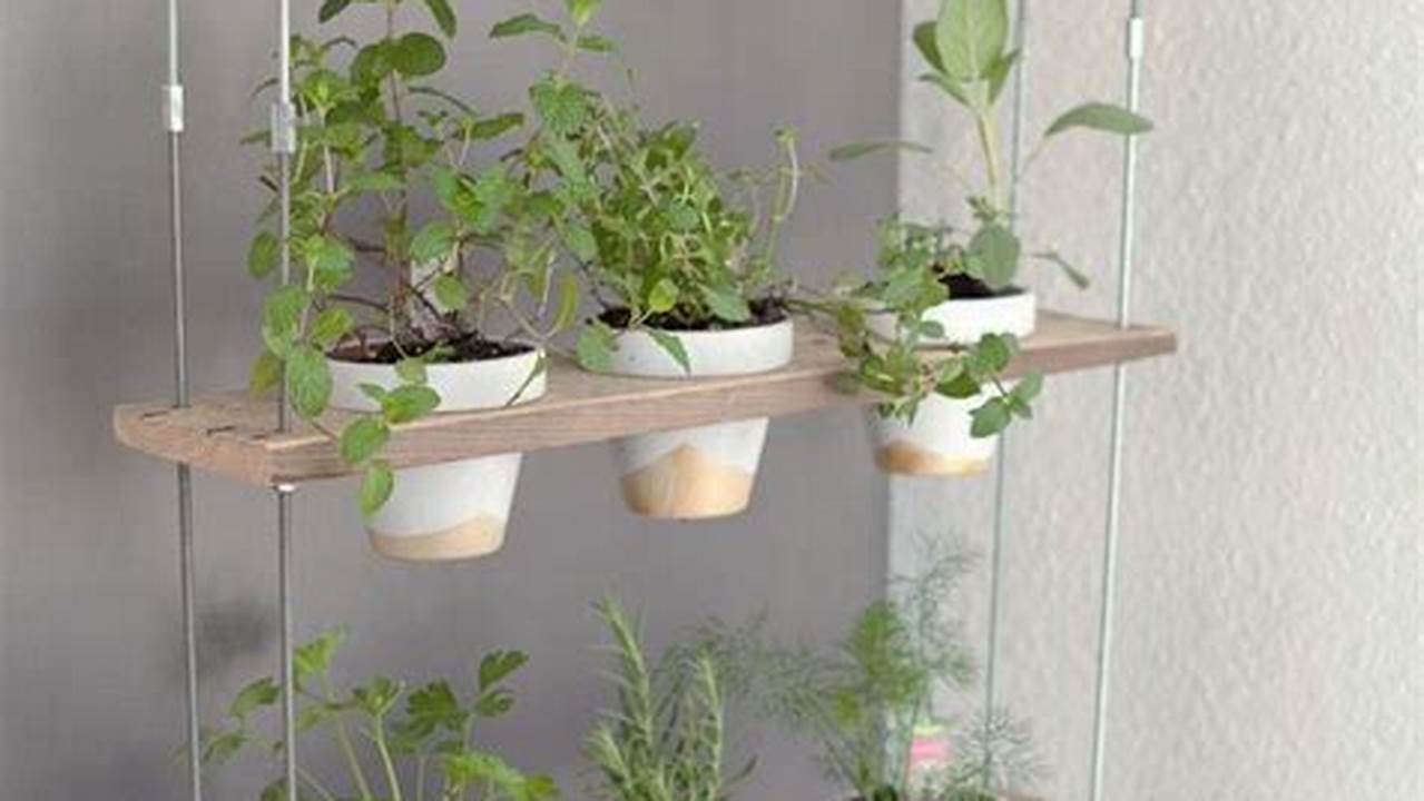 Unveiling the Secrets of Indoor Herb Gardening: A Reddit Odyssey