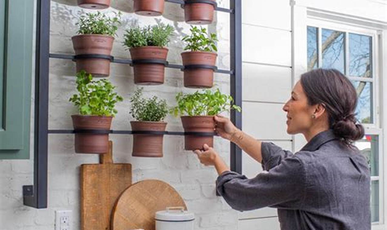 Unveiling the Secrets of Indoor Herb Garden Walls: A Journey of Discovery and Insight