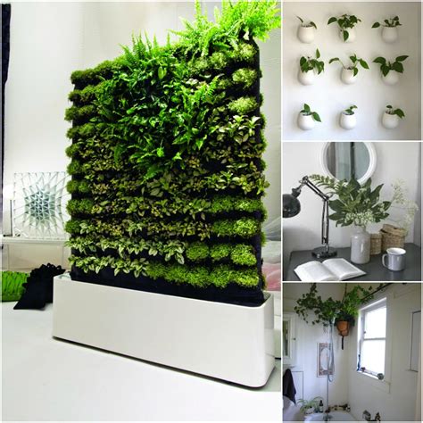 Stylish interior planter box ideas that will blow your mind Hanging
