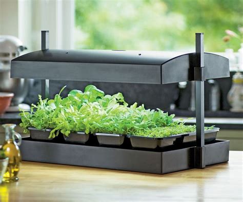 Indoor Plant Growing System Image