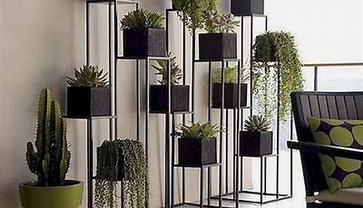 Indoor Plant Pot Decoration Ideas