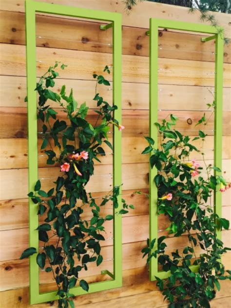 DIY Indoor Hanging Plant Trellis Cheapest and Easiest Indoor Greenery